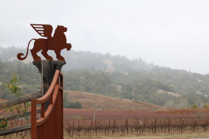image of our custom label partner link with our vineyard in the background